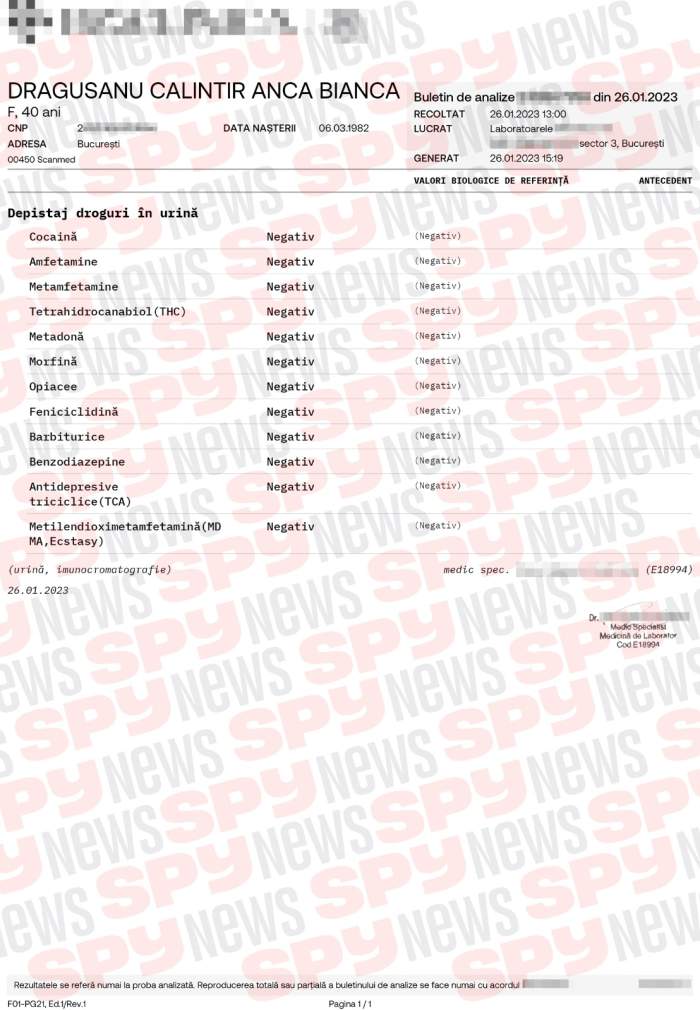 document bianca dragusanu