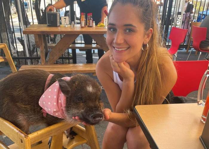 O femeie a devenit virală pe TikTok datorită animalului de companie. Ea deține un porc pe care l-a învățat să vorbească
