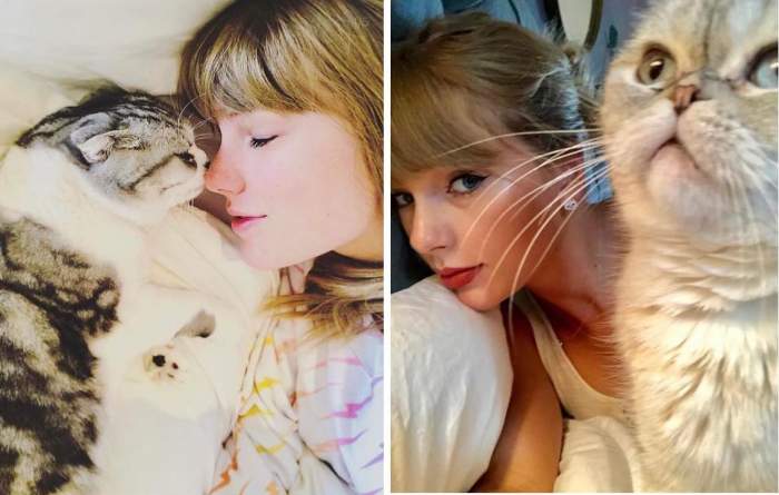 Pisica artistei Taylor Swift costă  97 de milioane de dolari