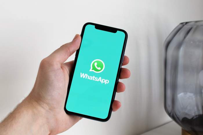 Schimbarea majoră făcută la WhatsApp. Îl vei putea folosi fără conexiune la internet