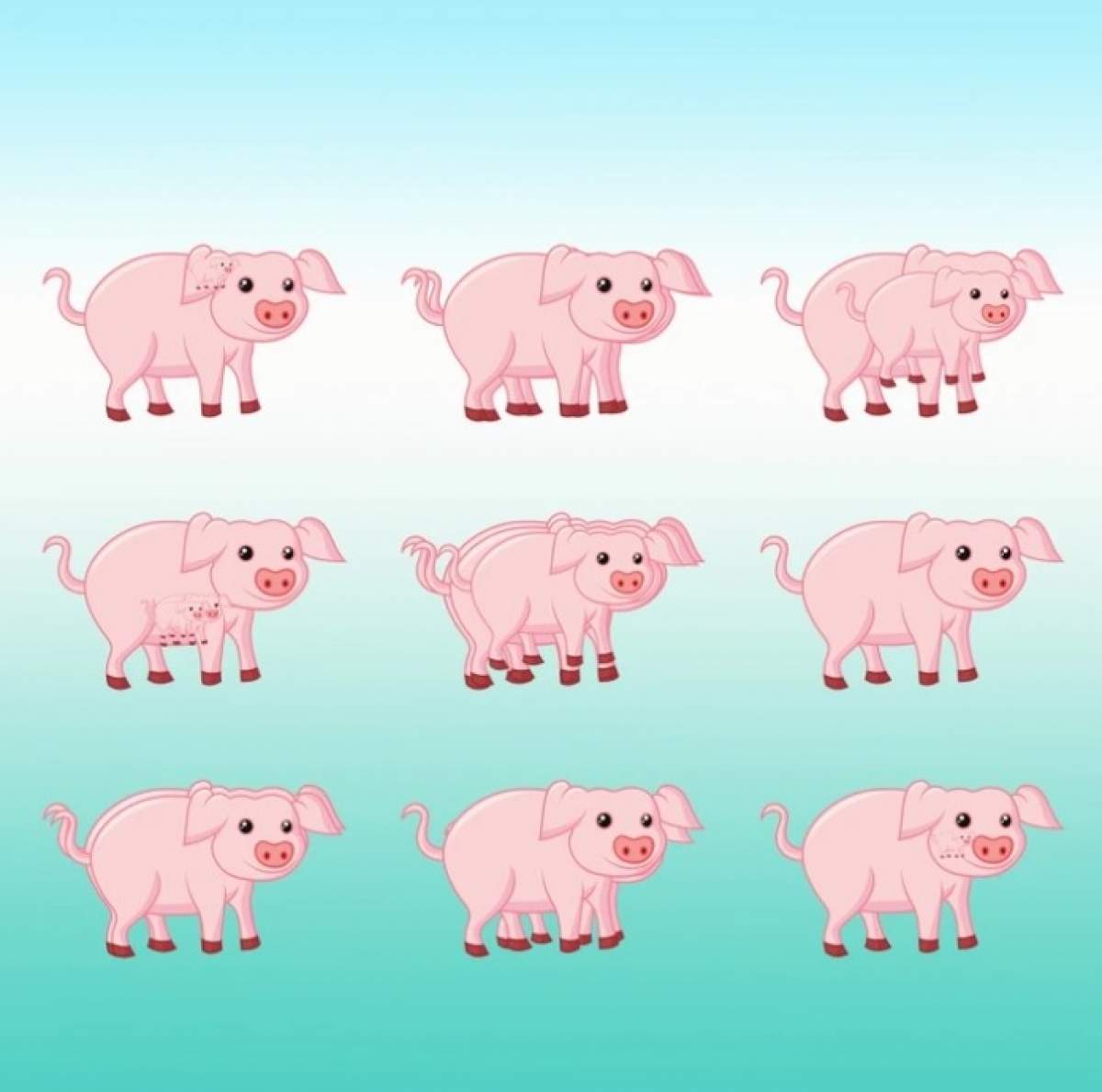 Test de inteligență! Câți porci sunt în această imagine? Dă un răspuns în 15 secunde și vezi ce IQ ai / FOTO