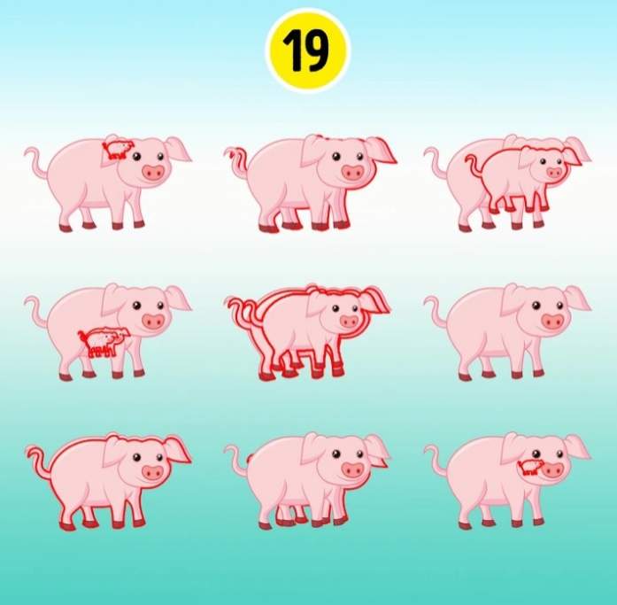 Test de inteligență! Câți porci sunt în această imagine? Dă un răspuns în 15 secunde și vezi ce IQ ai / FOTO