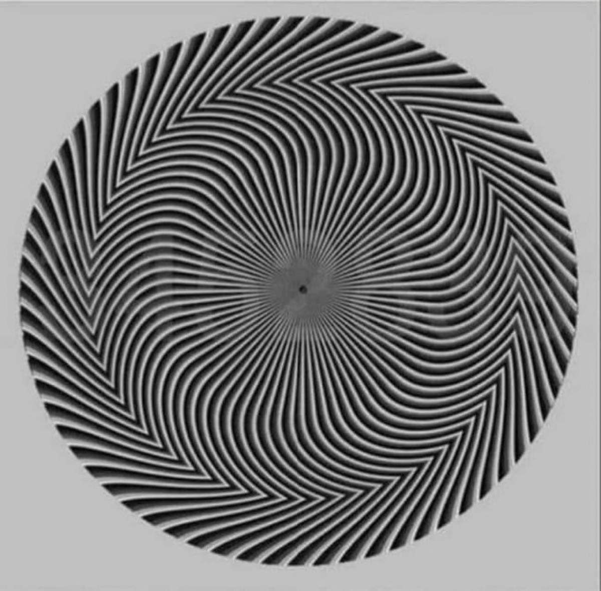 Această iluzie optică te va ajuta foarte mult