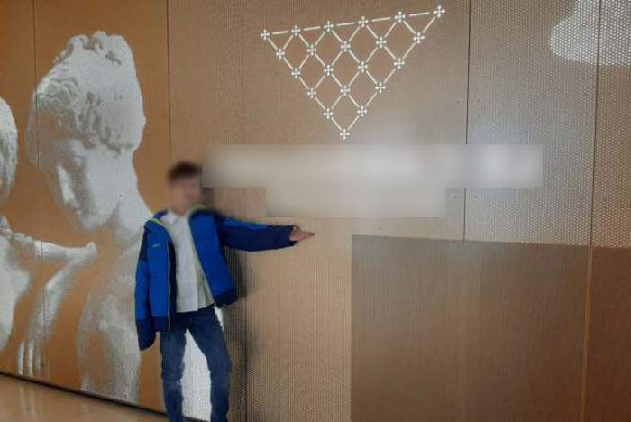 Dragoș Dobocan la Muzeul Luvru