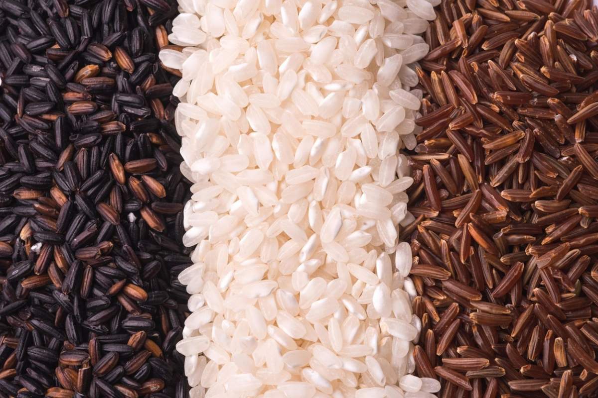 orez negru, orez alb și orez roșu