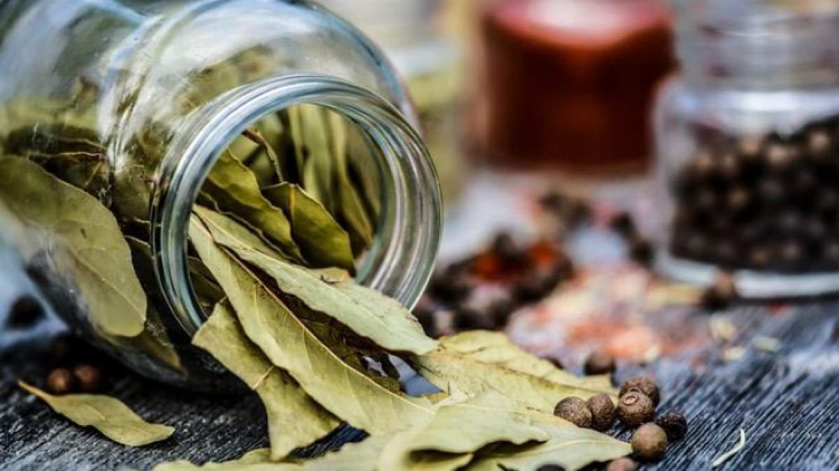 Frunzele de dafin, sau ceaiul din frunze de dafin, sunt bogate in potasiu, magneziu si vitaminele B6, B9 si C.