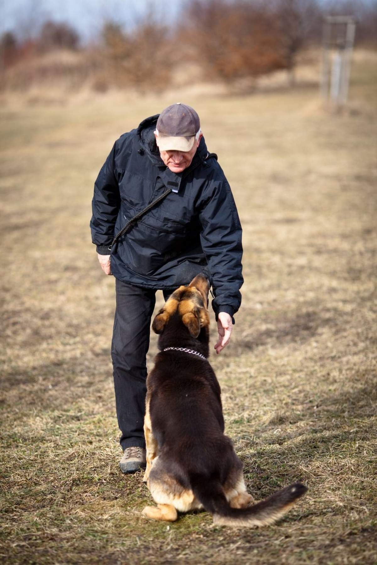 Câine care stă lângă stăpânul lui pe iarbă