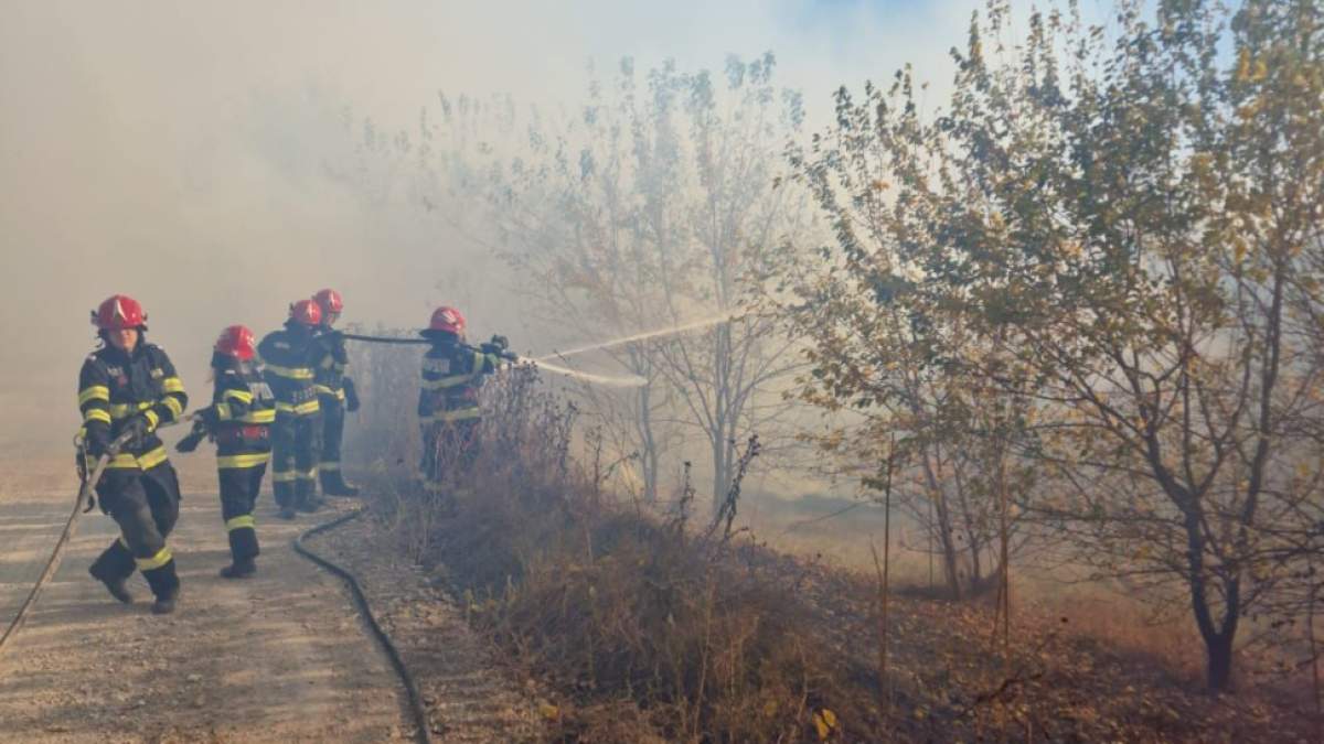 Incendiu în pădurea din Plauru