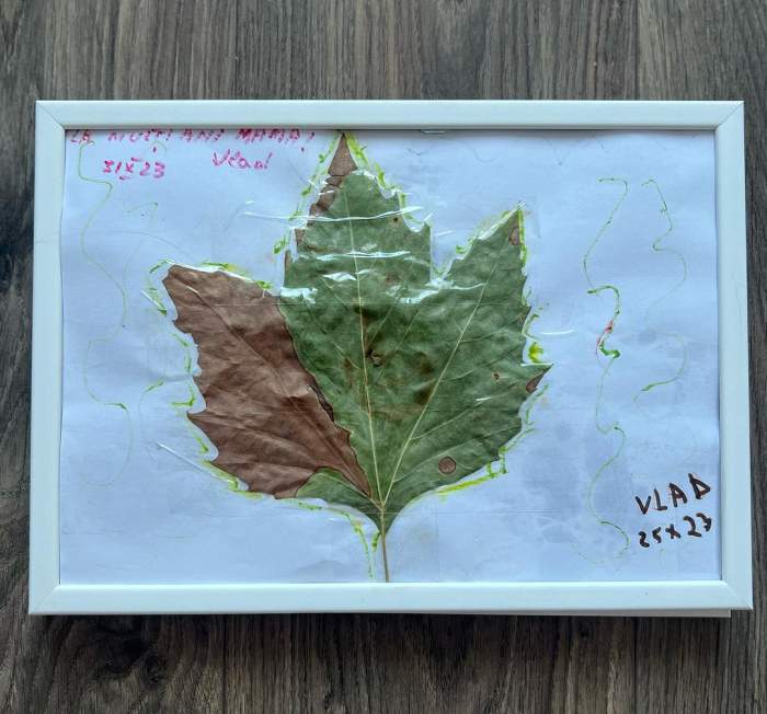 Simona Gherghe își sărbătorește ziua de naștere. Prezentatoarea TV a împlinit 46 de ani. Cum a fost surprinsă de cei doi copii: „Recunoștință și iubire” / FOTO