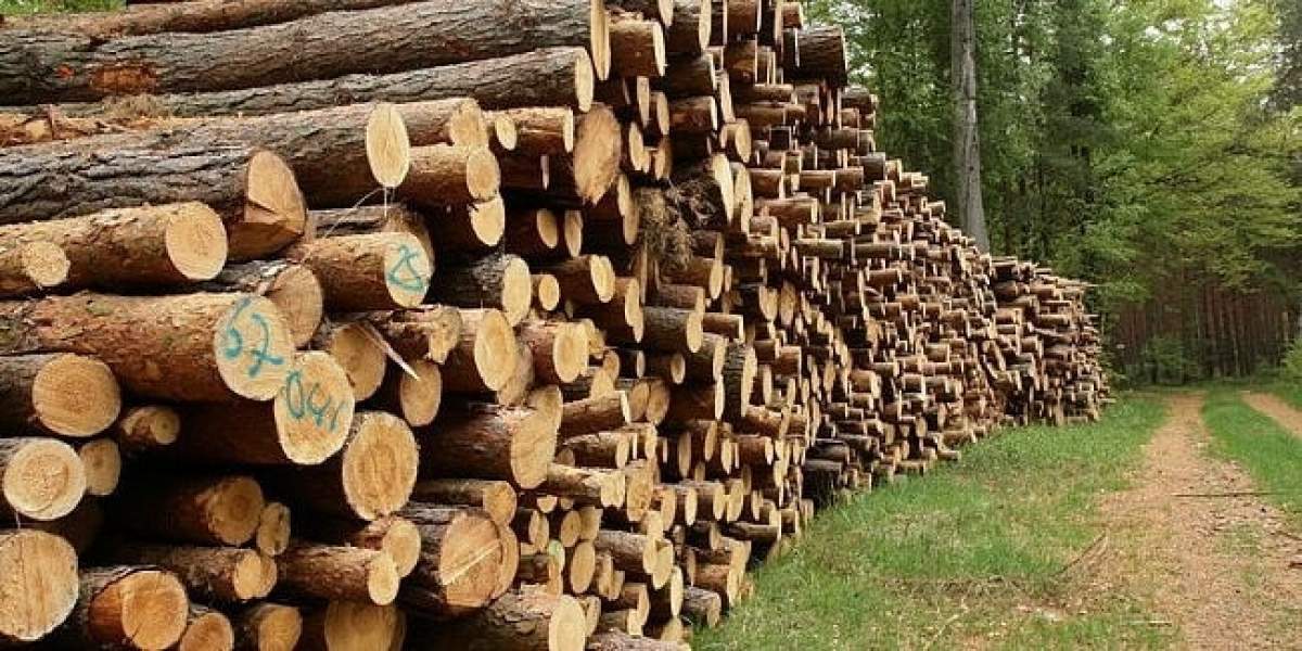 Prețul lemnului în acest an s-a majorat cu 15%, față de anul anterior.