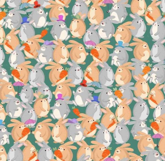 Test IQ iluzie optică! Găsește șoarecele ascuns printre iepurii din imagine în doar 15 secunde / FOTO