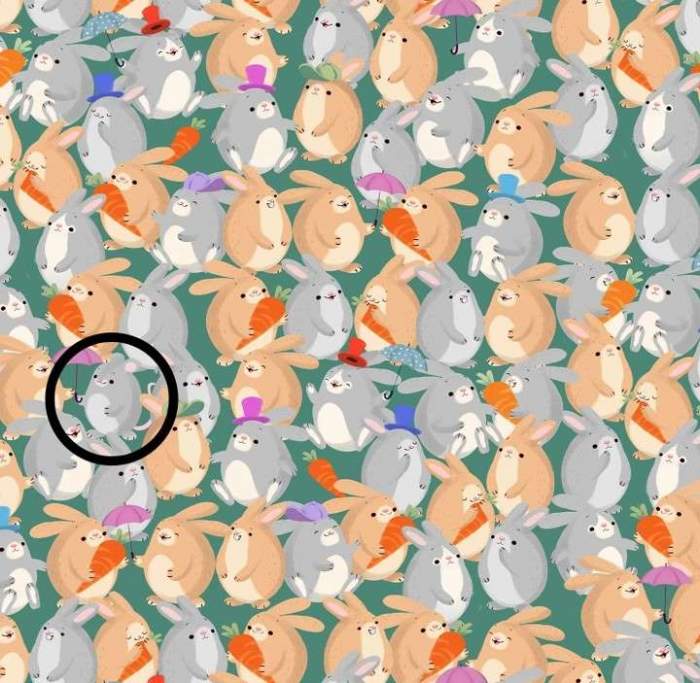 Test IQ iluzie optică! Găsește șoarecele ascuns printre iepurii din imagine în doar 15 secunde / FOTO