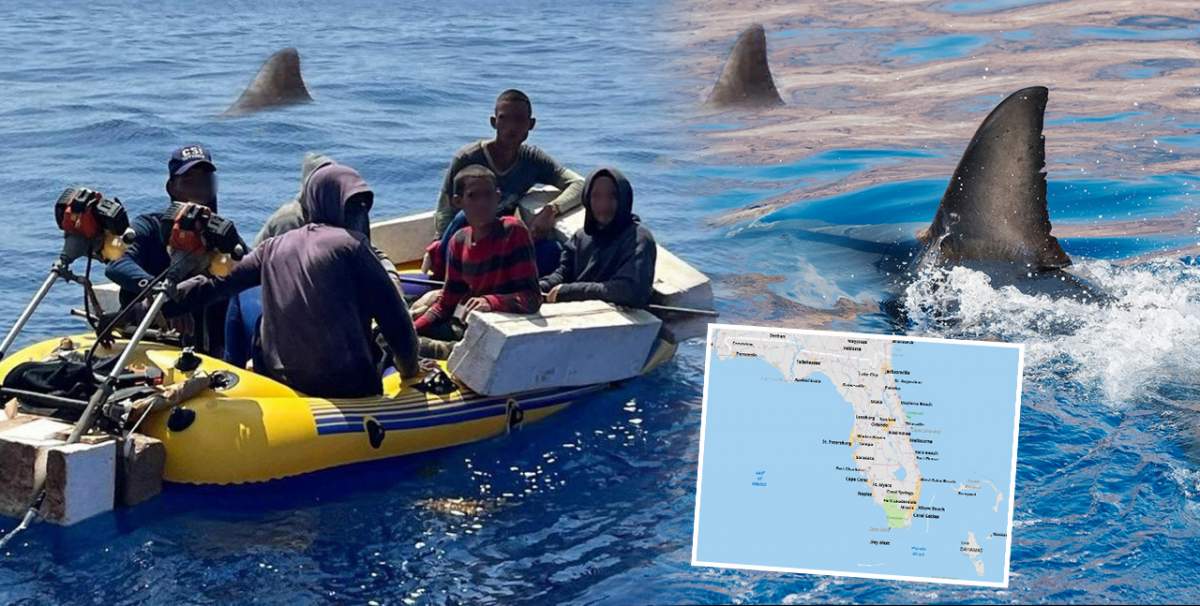 Interlopi periculoși din România, atacați de rechini în timp ce încercau să ajungă ilegal în SUA / Detalii cu impact emoțional!