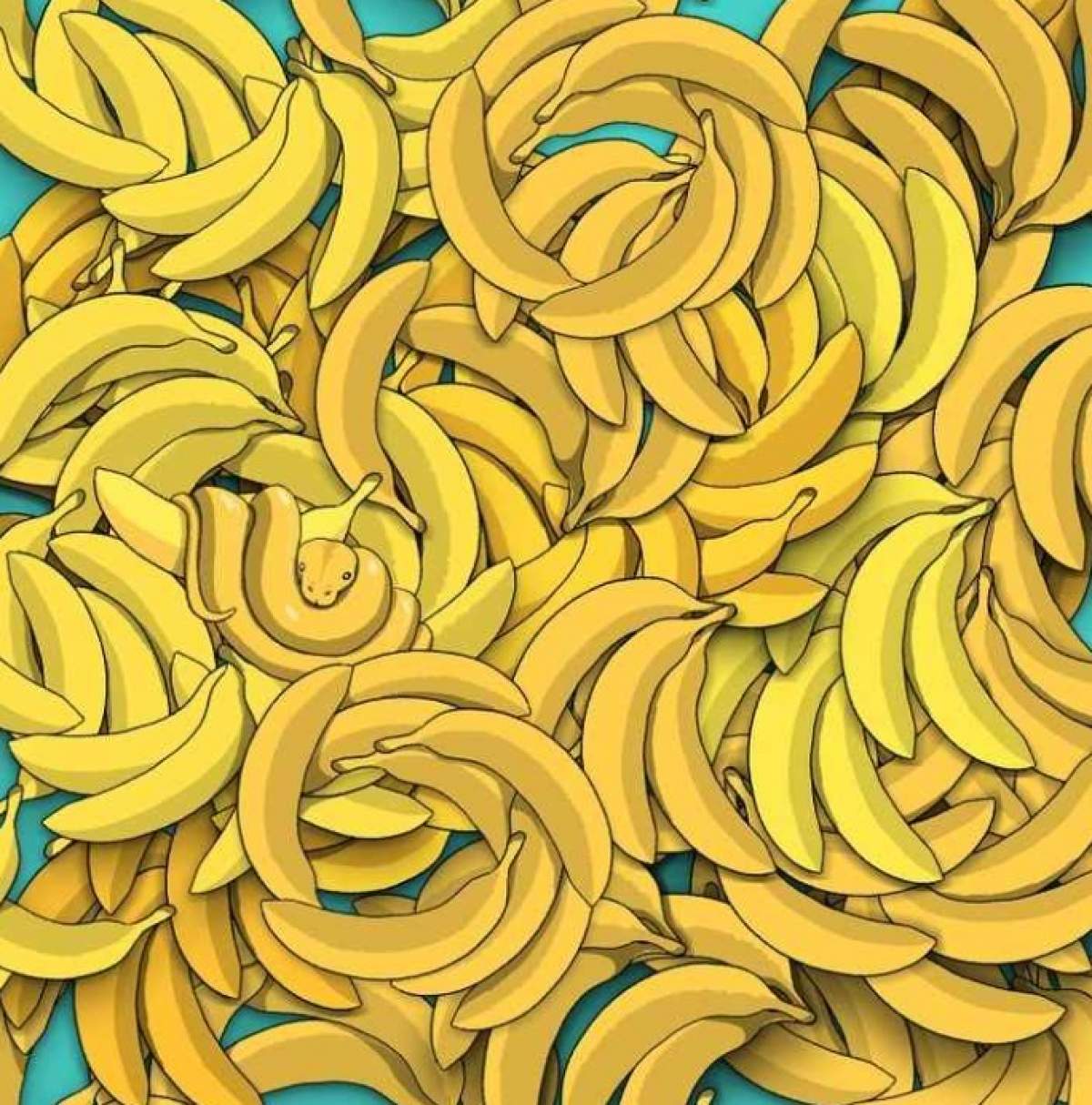 Test IQ iluzie optică! Identifică șarpele ascuns printre bananele din imagine. Ai la dispoziție 5 secunde / FOTO