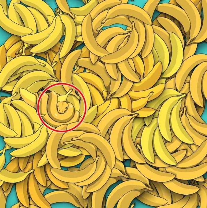 Test IQ iluzie optică! Identifică șarpele ascuns printre bananele din imagine. Ai la dispoziție 5 secunde / FOTO
