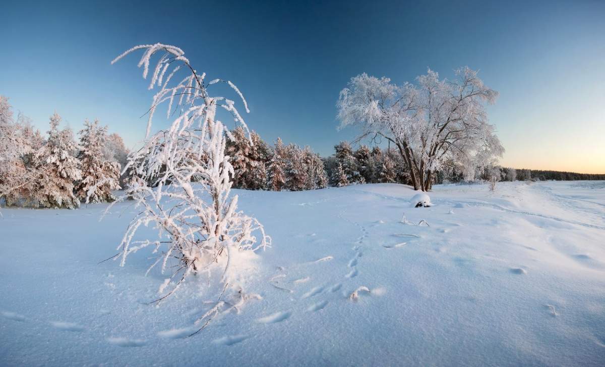 piesaj de iarna