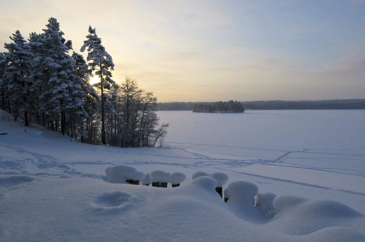 peisaj de iarnă cu zăpadă și brazi