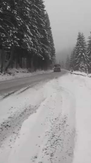 Anunț Infotrafic! Ninge slab în zona montană din mai multe judeţe ale țării. Autoritățile fac apel către șoferi