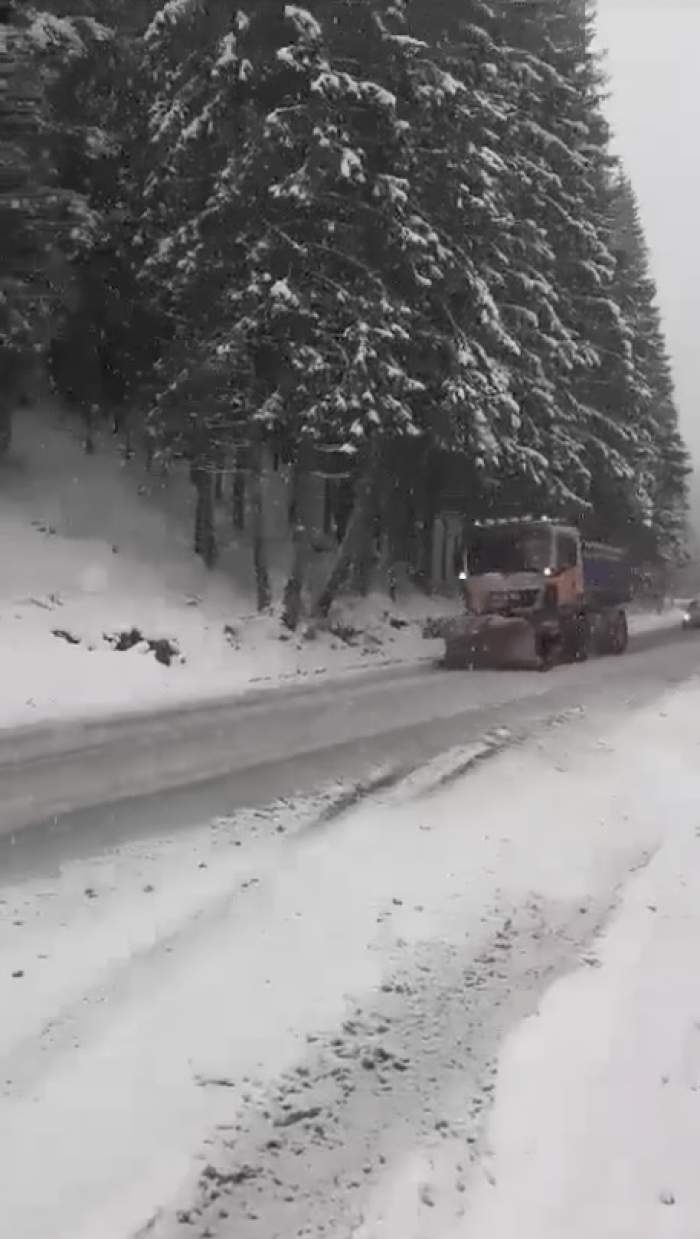 Ninge la munte, in România