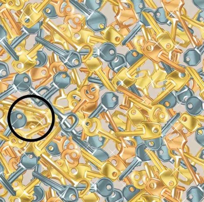 Test IQ iluzie optică! Găsește clopoțelul ascuns printre cheile din imagine. Doar 3% dintre persoane îl pot identifica în 11 secunde / FOTO