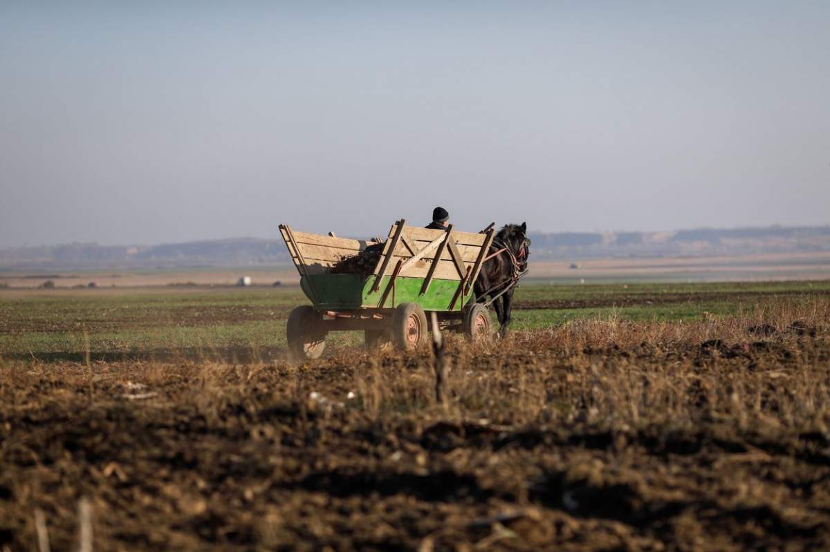 Fermier român își conduce calul și căruța printr-un câmp în timpul unei zile însorite de toamnă