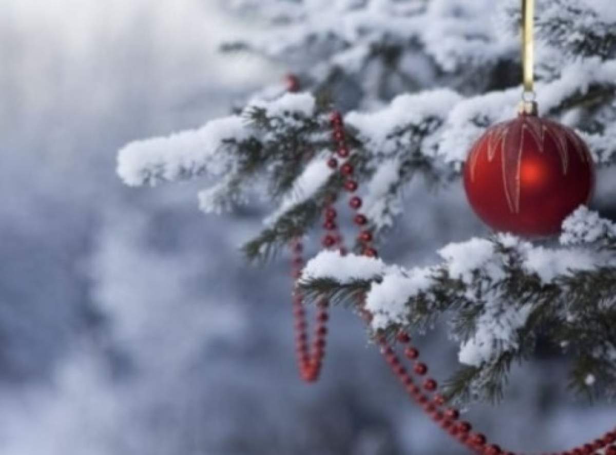 Brad de Craciun Prognoza meteo pentru perioada sărbătorilor de iarnă a fost actualizată