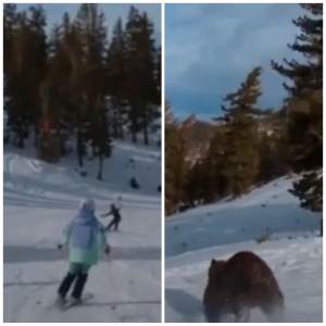 Clipe de panică pentru turiștii de pe o pârtie din SUA! Au fost alergați de un urs / VIDEO