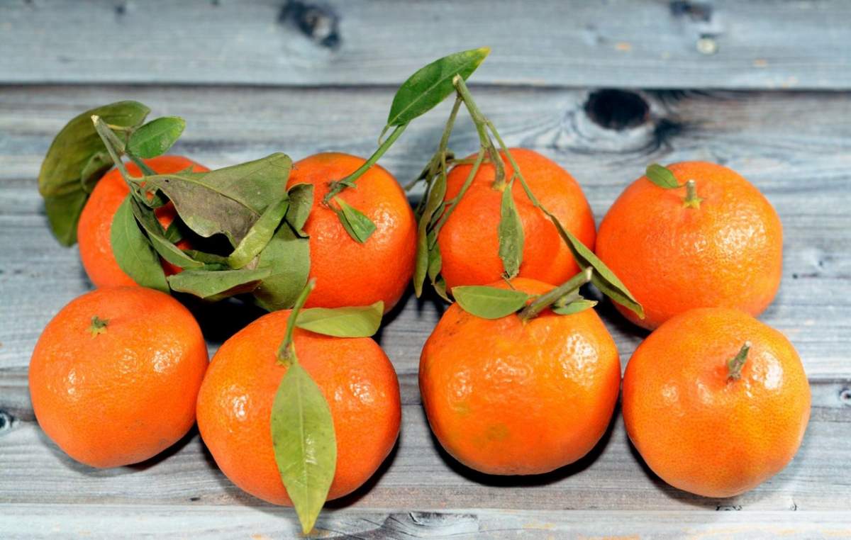 Medicii trag un semnal de alarmă în privința consumului de mandarine