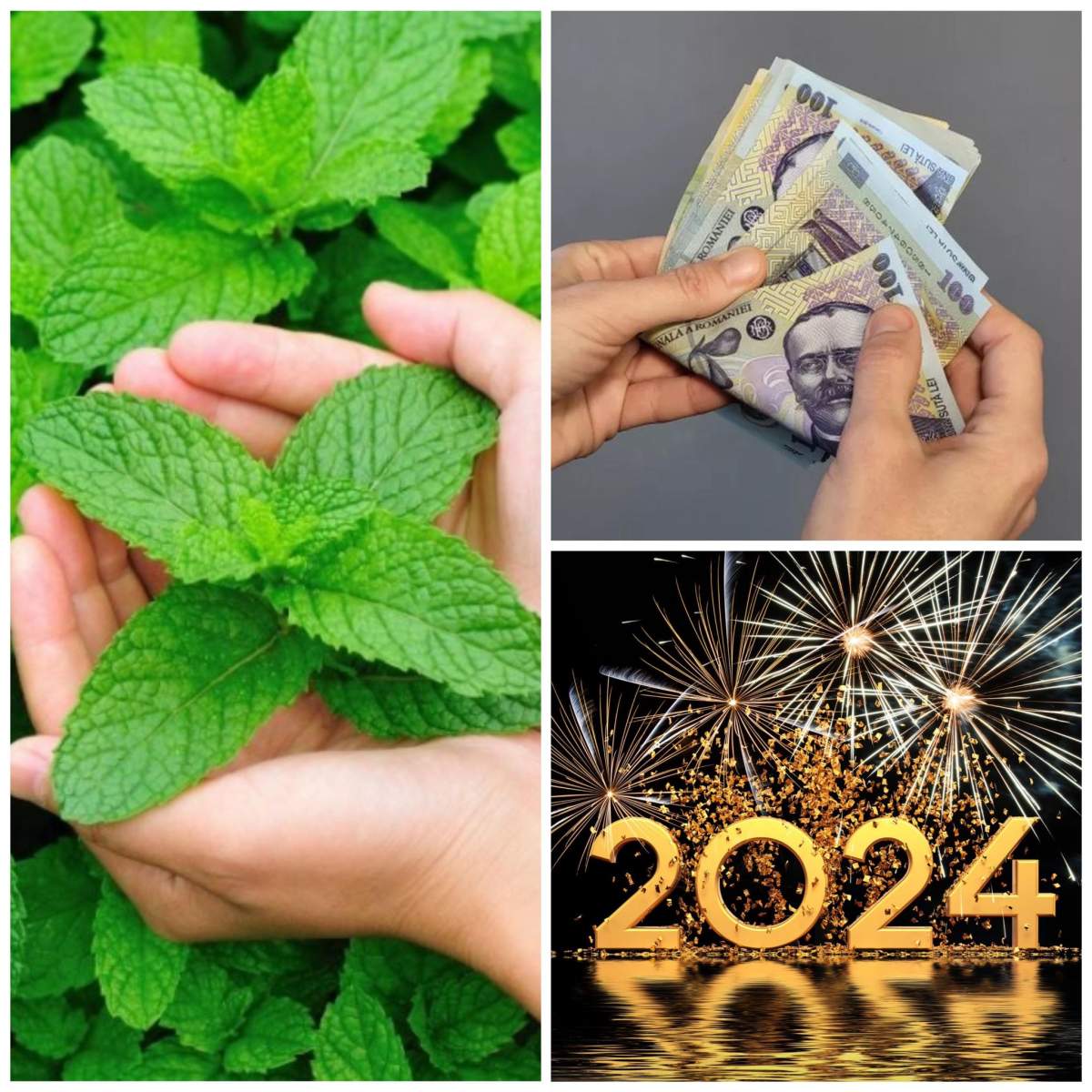 Frunze de mentă, bani și anul 2024