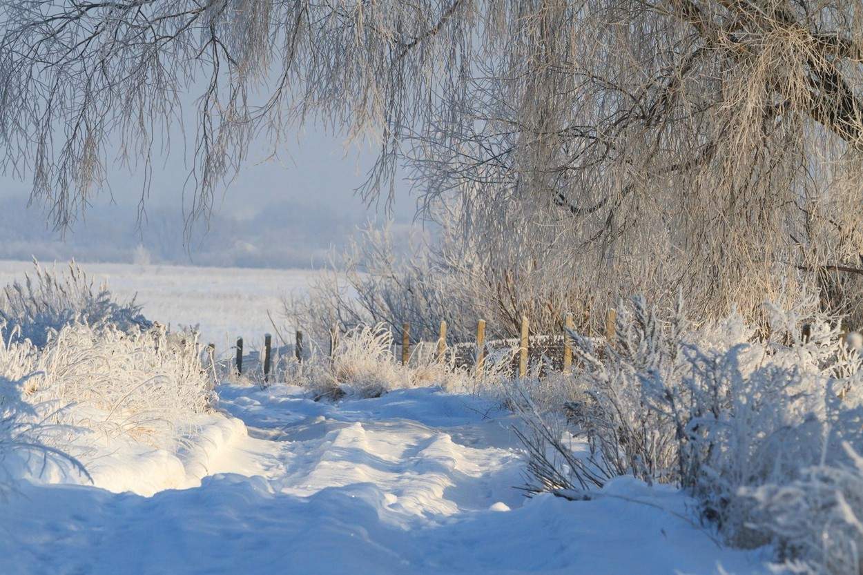 Meteorologii au emis două atenționări cod galben de ninsori și una de cod portocaliu