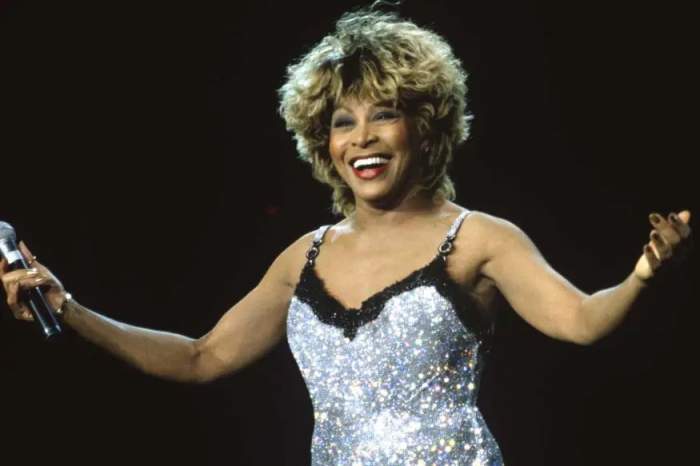 Artista Tina Turner