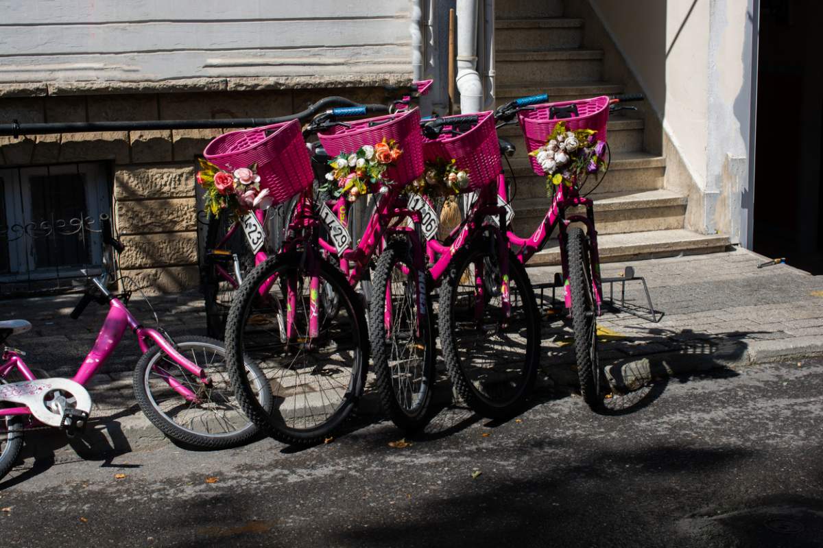 Biciclete decorative roz Echipate Cos si Flori