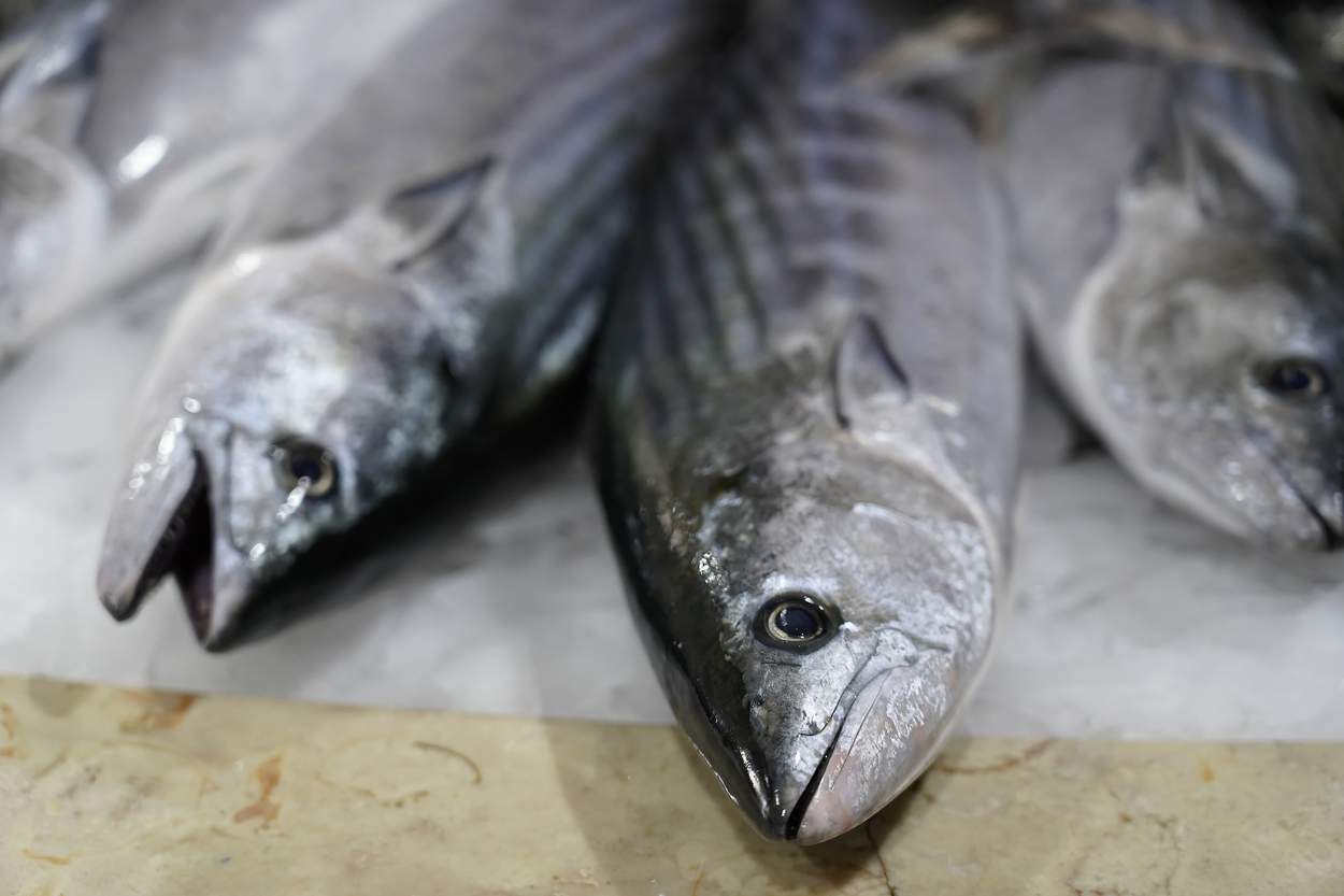 Într-o piață din Constanța, dorada regală se vinde la prețul de 42 de lei/kg