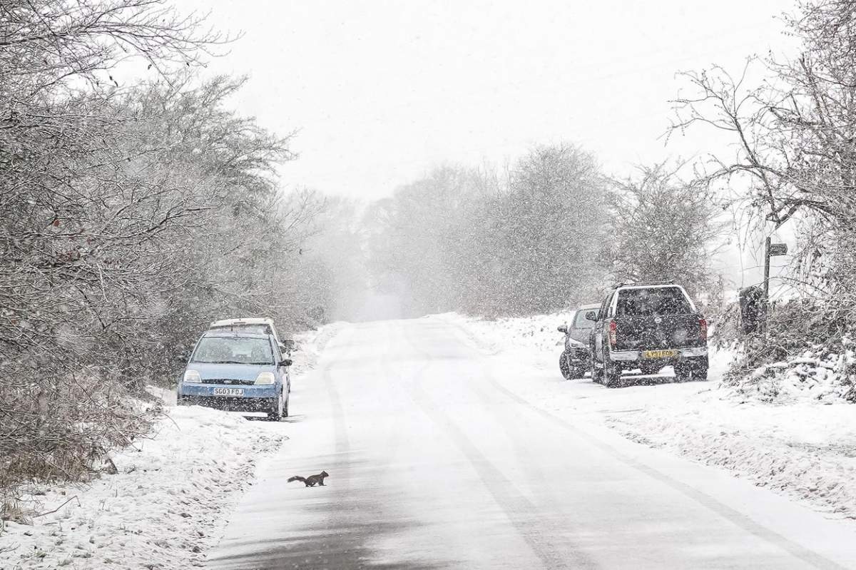 Temperaturi scăzute în România