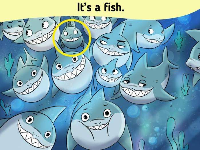 Test IQ iluzie optică: poți găsi peștele ascuns printre rechini în numai 7 secunde?
