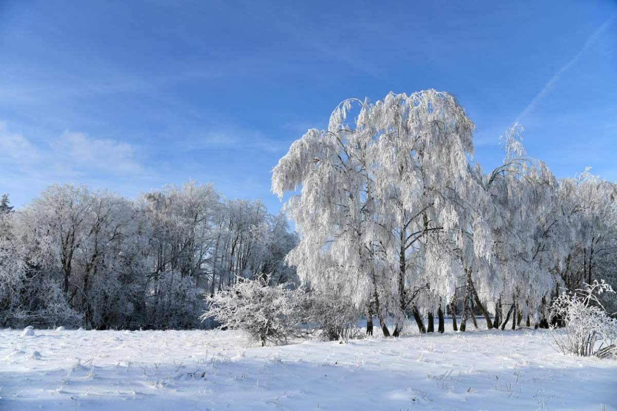 Meteorologii au emis o nouă atenționare cod galben de viscol valabil pentru 20 de județe