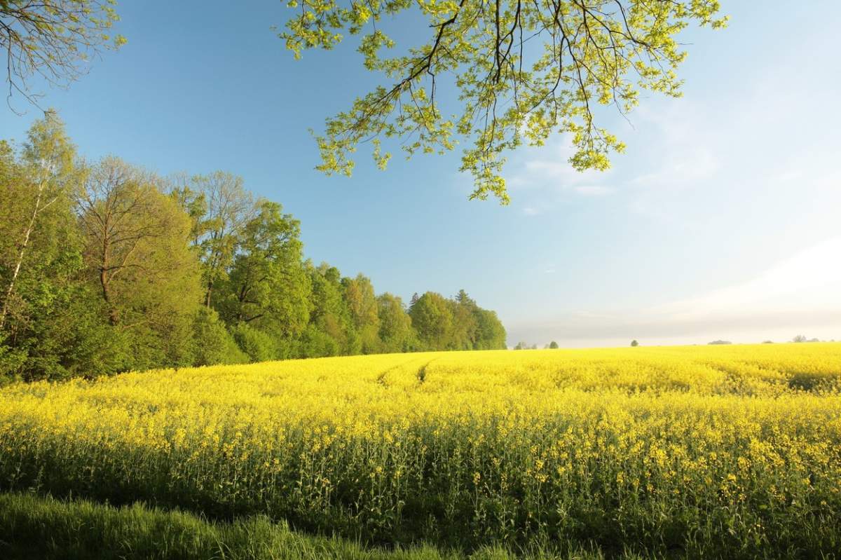 Anunț ANM! Vremea se schimbă radical. Meteorologii anunță temperaturi de primăvară