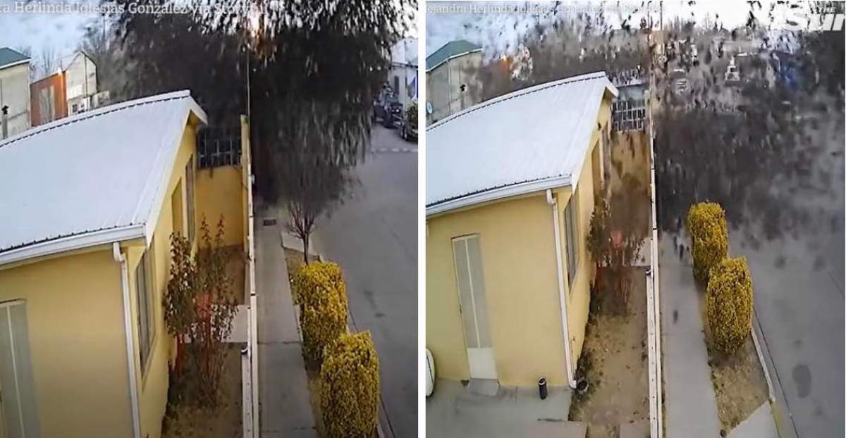 Imagini apocaliptice cu un stol de păsări care s-a prăbușit Imagini apocaliptice cu un stol de păsări care s-a prăbușit