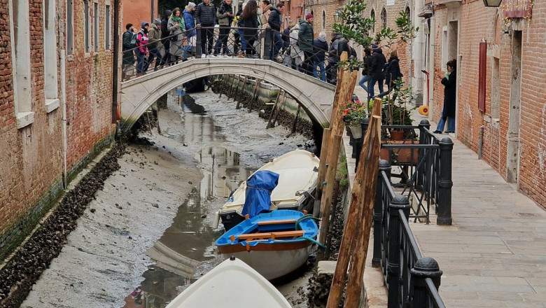 Canalele din Veneția au secat. Imaginile cu gondolele scufundate au făcut înconjurul lumii / FOTO