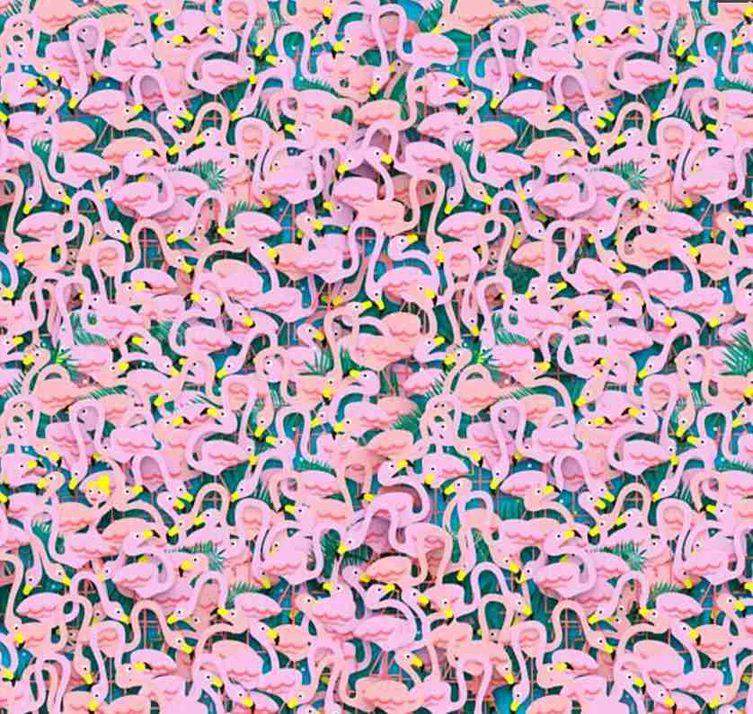 Testul de atenție pe care nu ai cum să îl greșești. Găsește balerina care se ascunde printre păsările flamingo din imagine / FOTO
