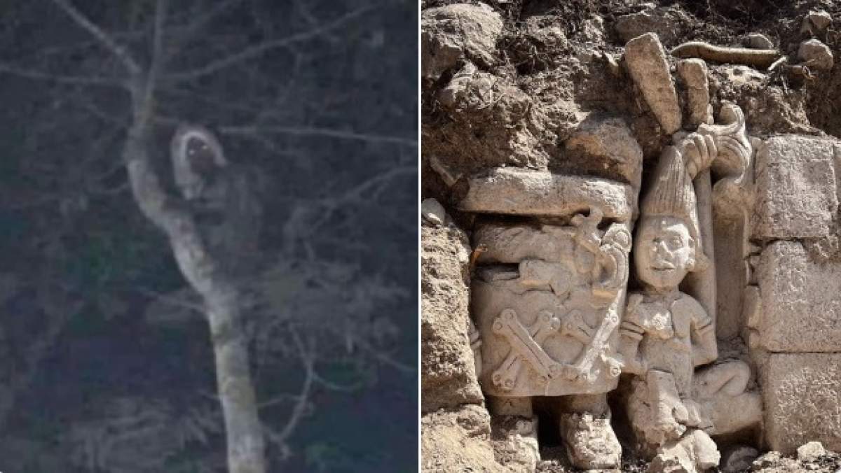 Președintele mexican a devenit viral după ce a spus că are dovada existenței unui elf mitic de pădure / FOTO