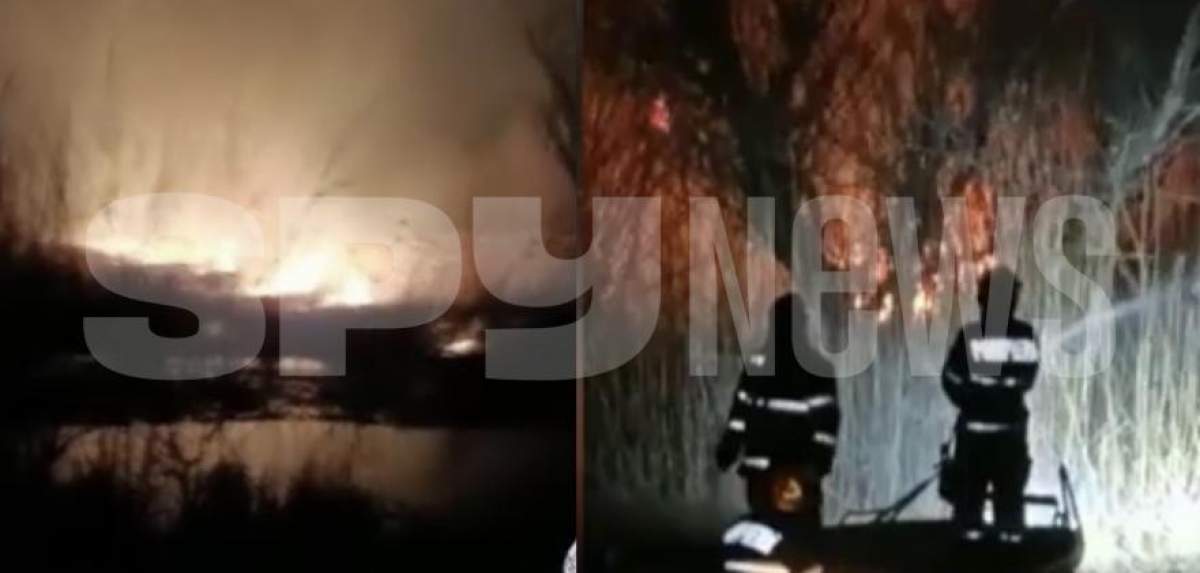 Incendiu puternic în Delta Dunării! Pompierii au intervenit cu ambarcațiuni, în apropiere de Sulina