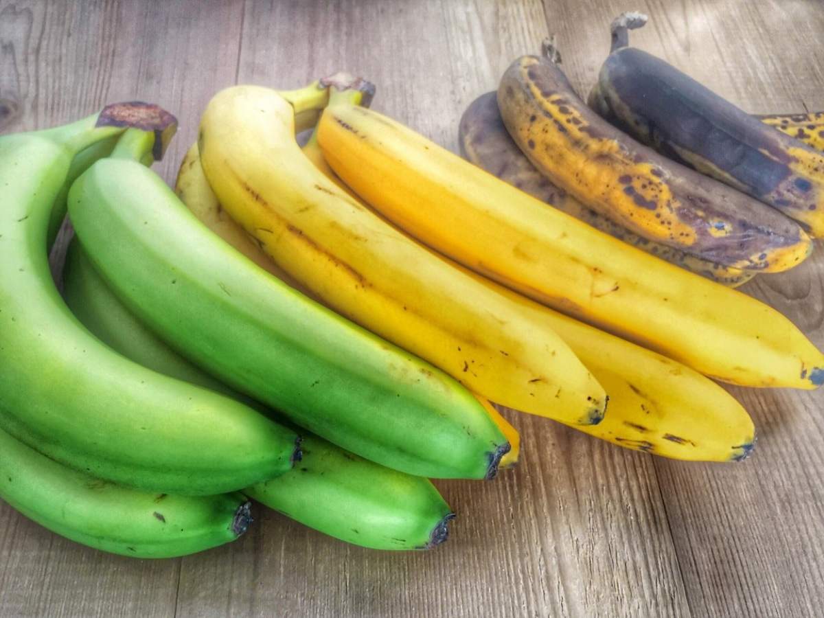 Banane verzi, maro și galbene