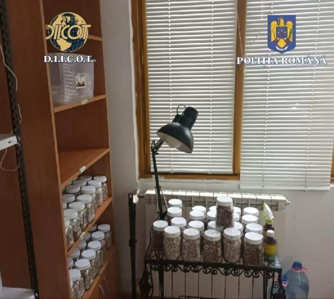 Laborator de droguri, descoperit în apartamentul unui bărbat din București. Polițiștii au găsit 80 de kilograme de substanțe interzise / FOTO