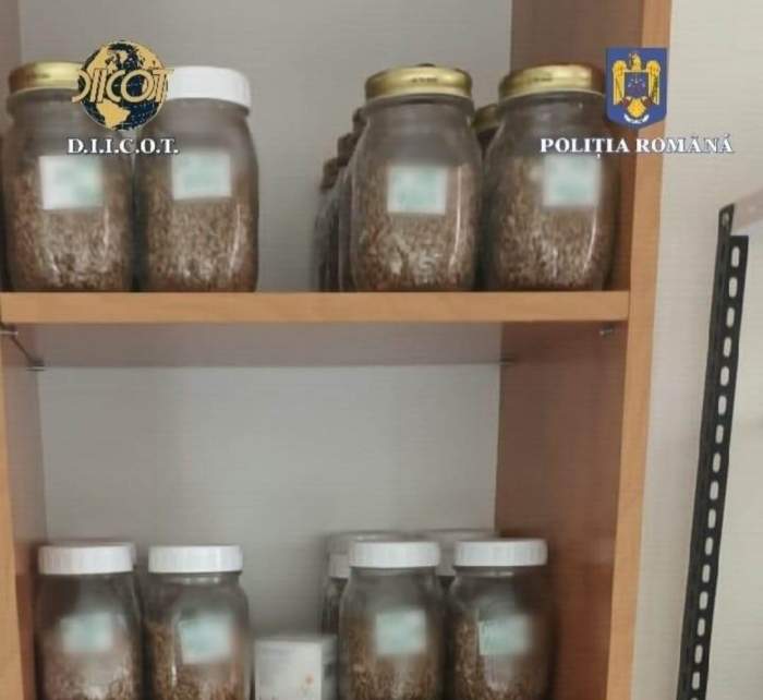 Laborator de droguri, descoperit în apartamentul unui bărbat din București. Polițiștii au găsit 80 de kilograme de substanțe interzise / FOTO