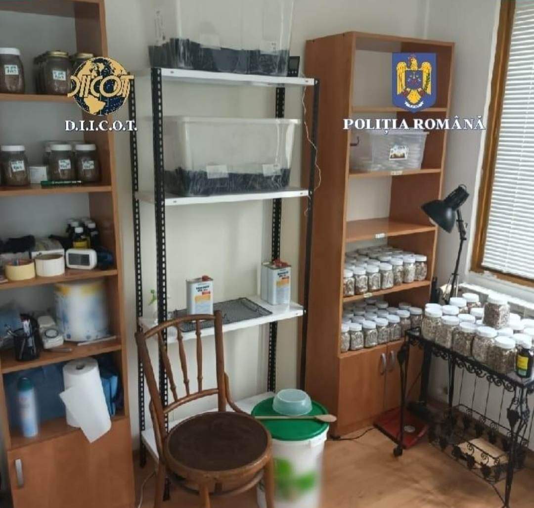 Laborator de droguri, descoperit în apartamentul unui bărbat din București. Polițiștii au găsit 80 de kilograme de substanțe interzise / FOTO