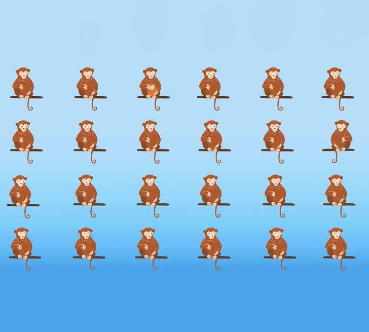 Poți identifica maimuțele care sunt diferite de restul în cel mult 10 secunde?