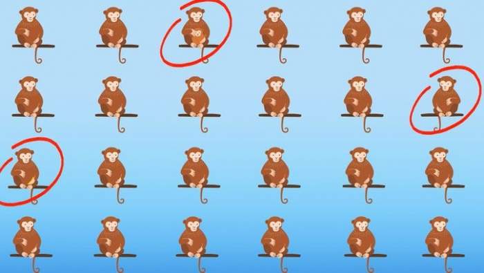 Testul IQ care te pune în dificultate. Găsește cele trei maimuțe care sunt diferite de restul în doar 10 secunde / FOTO