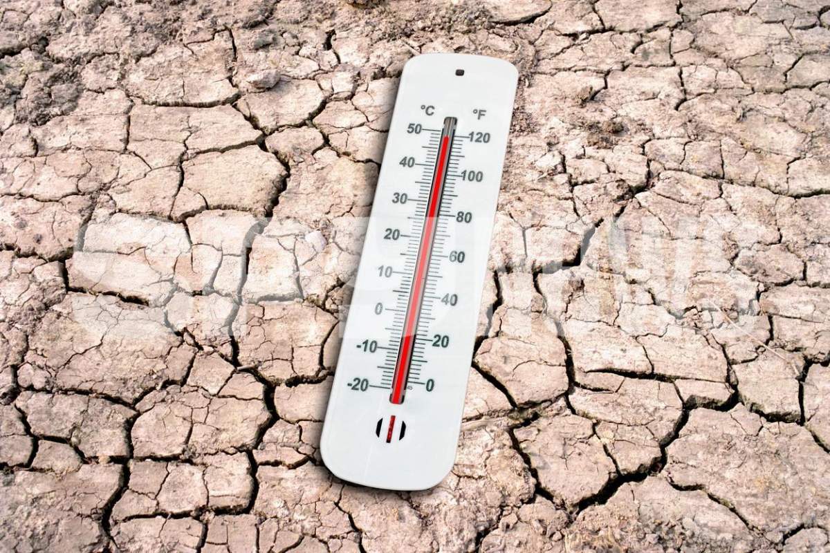 ONU a lansat un "ghid de supraviețuire pentru umanitate”. Ce avertisment au făcut specialiștii în privința schimbărilor climatice