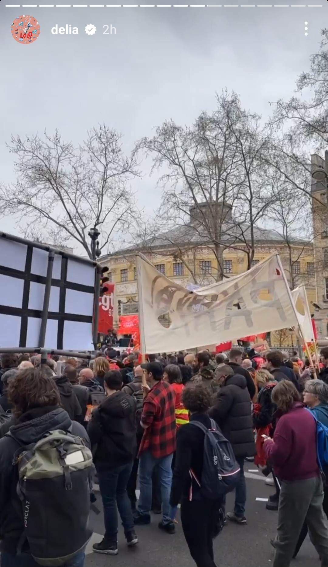 Delia Matache, prinsă de protestele din Paris. Ce imagini a postat artista pe rețelele de socializare / FOTO